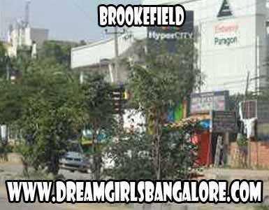 Brookefield Escorts