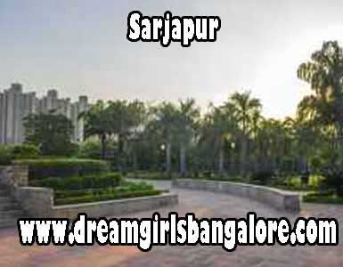 Sarjapur Escorts
