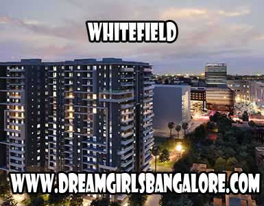 Whitefield Escorts